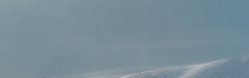 Wide view of a clean training space with natural light